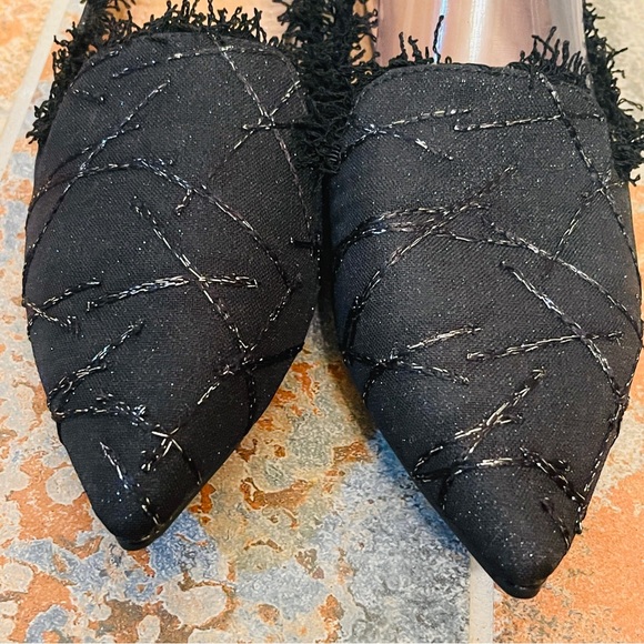 🖤NWOB! Fancy Pointed Toe Black with Silver Metallic Beading, Fringed Flat! - Picture 5 of 12